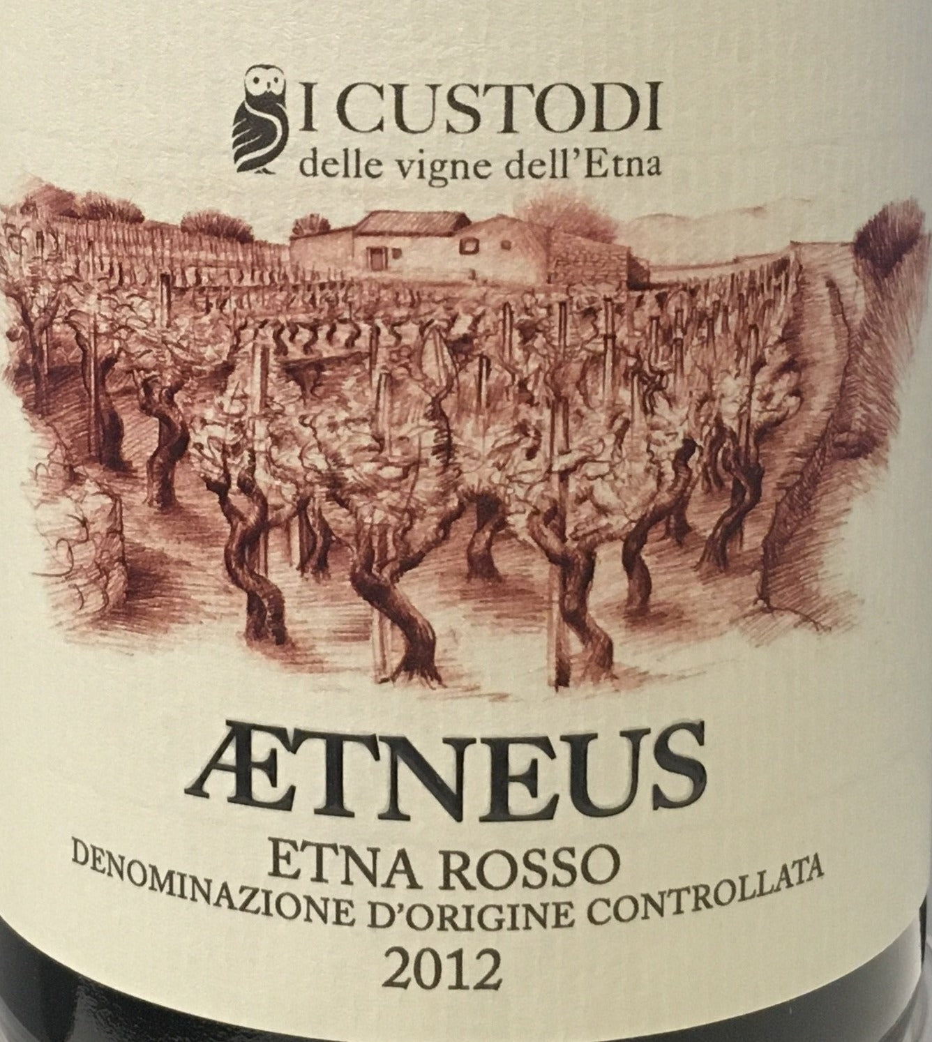 Aetneus Guardians - 2012 Etna Rosso from Sicily, Italy