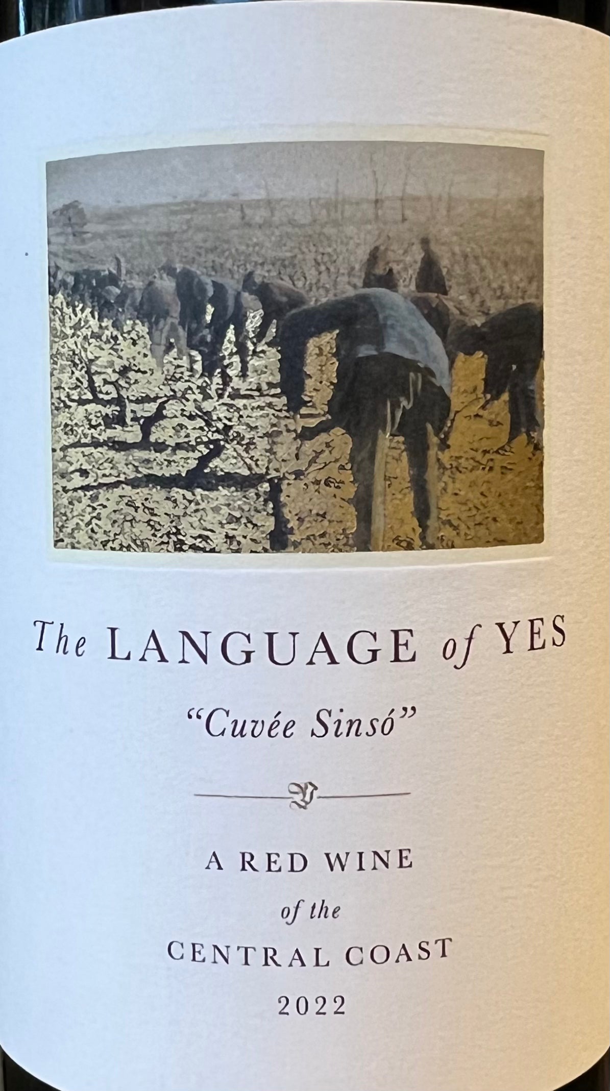 Red Wine Blend - 'Cuvee Sinso', The Language of Yes