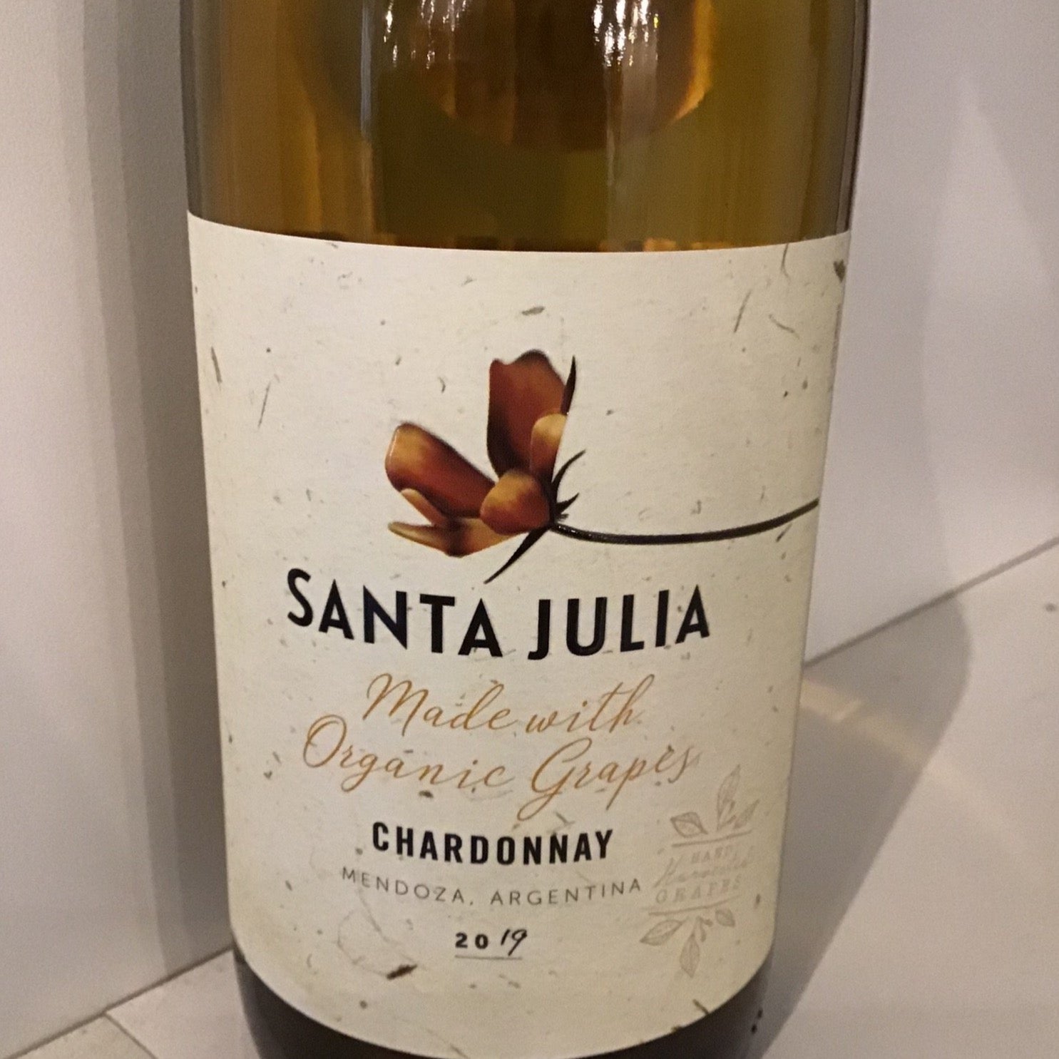 Santa Julia Mendoza Chardonnay White Wine - 2019 Vintage