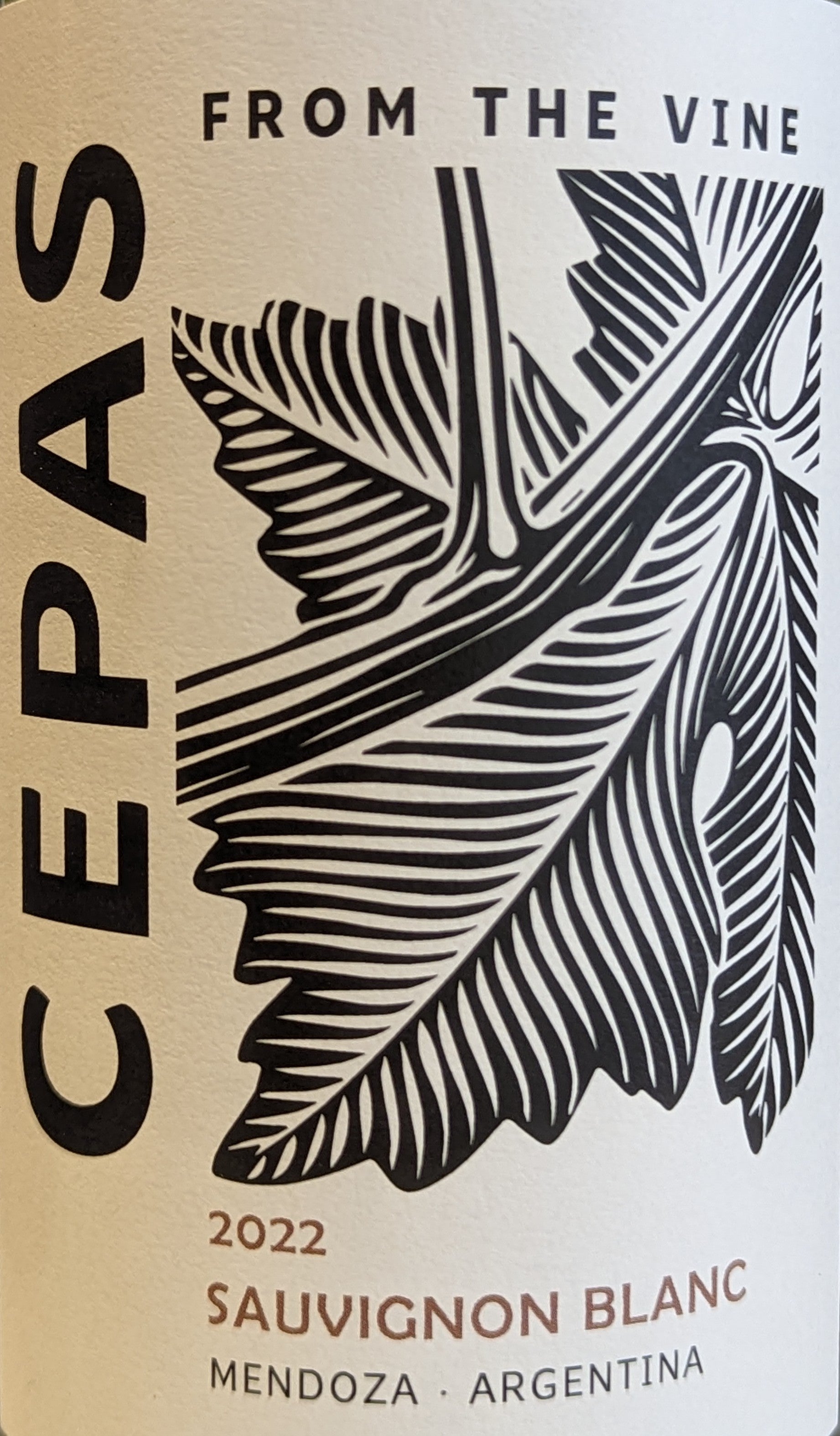 Premium Wine - Sauvignon Blanc Grape Variety Cepas