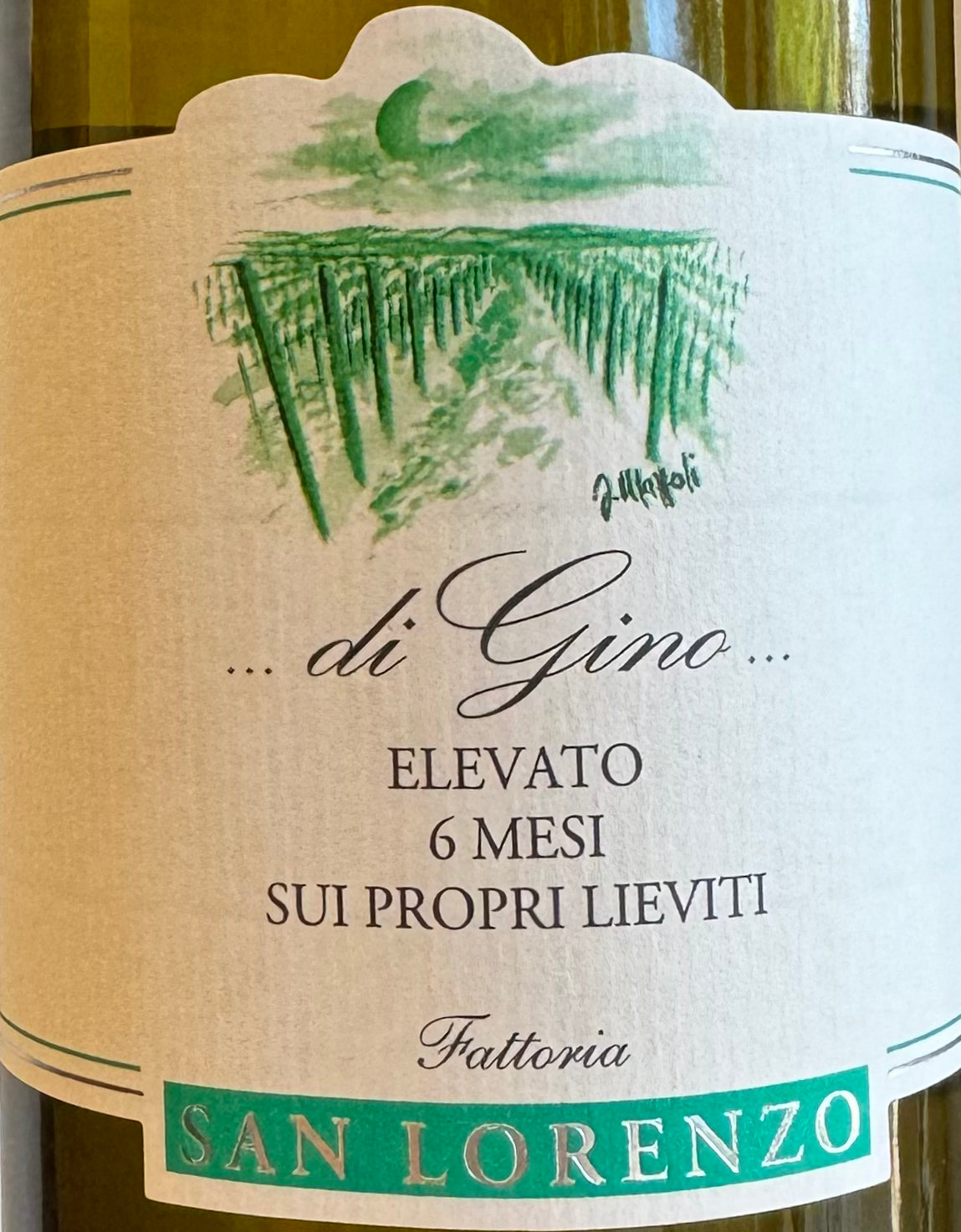 2022 Fattoria San Lorenzo 'Di Gino' Organic Verdicchio White Wine from Marche, Italy