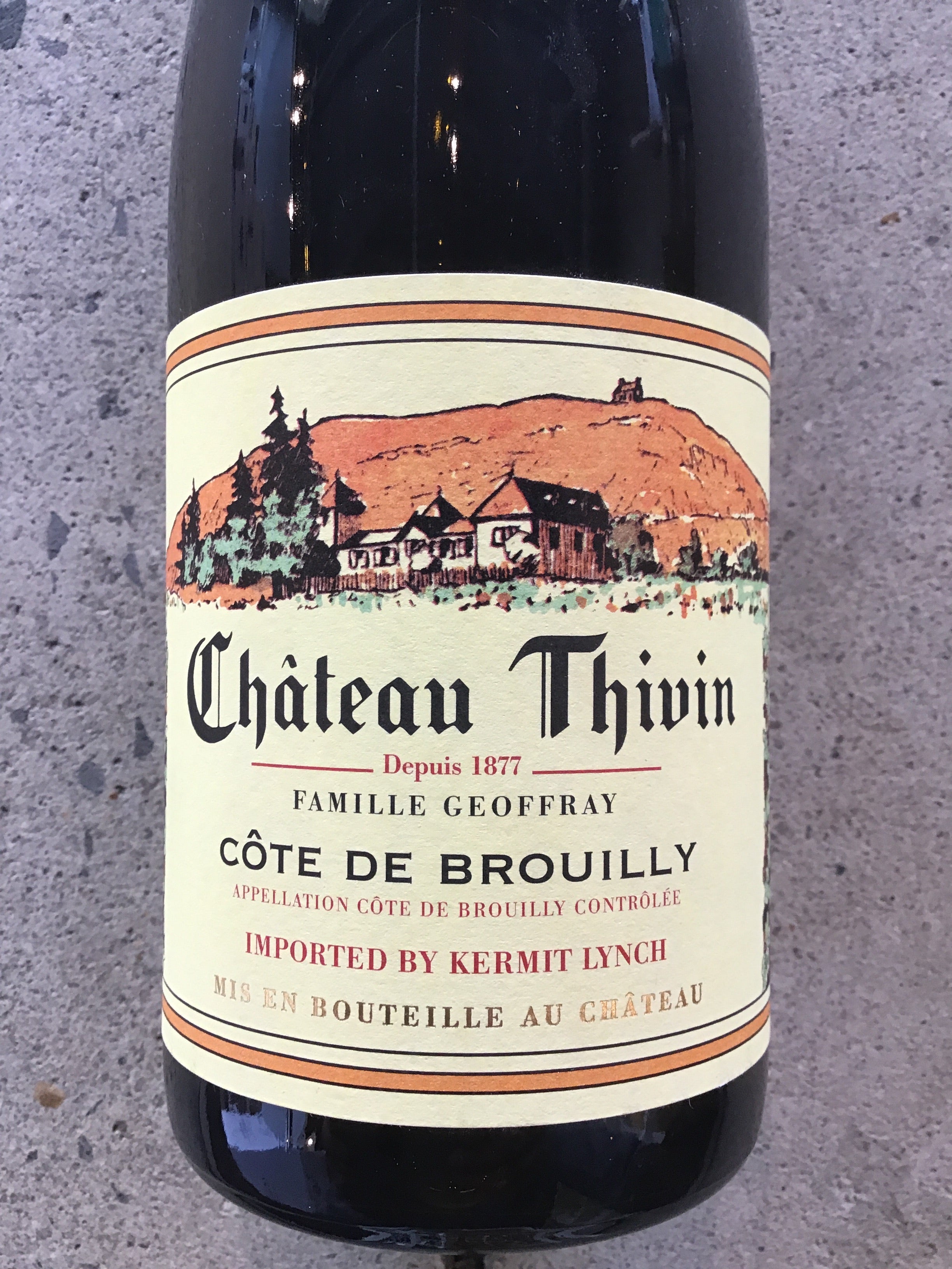 2019 Chateau Thivin Gamay - A Delightful Côte de Brouilly Wine