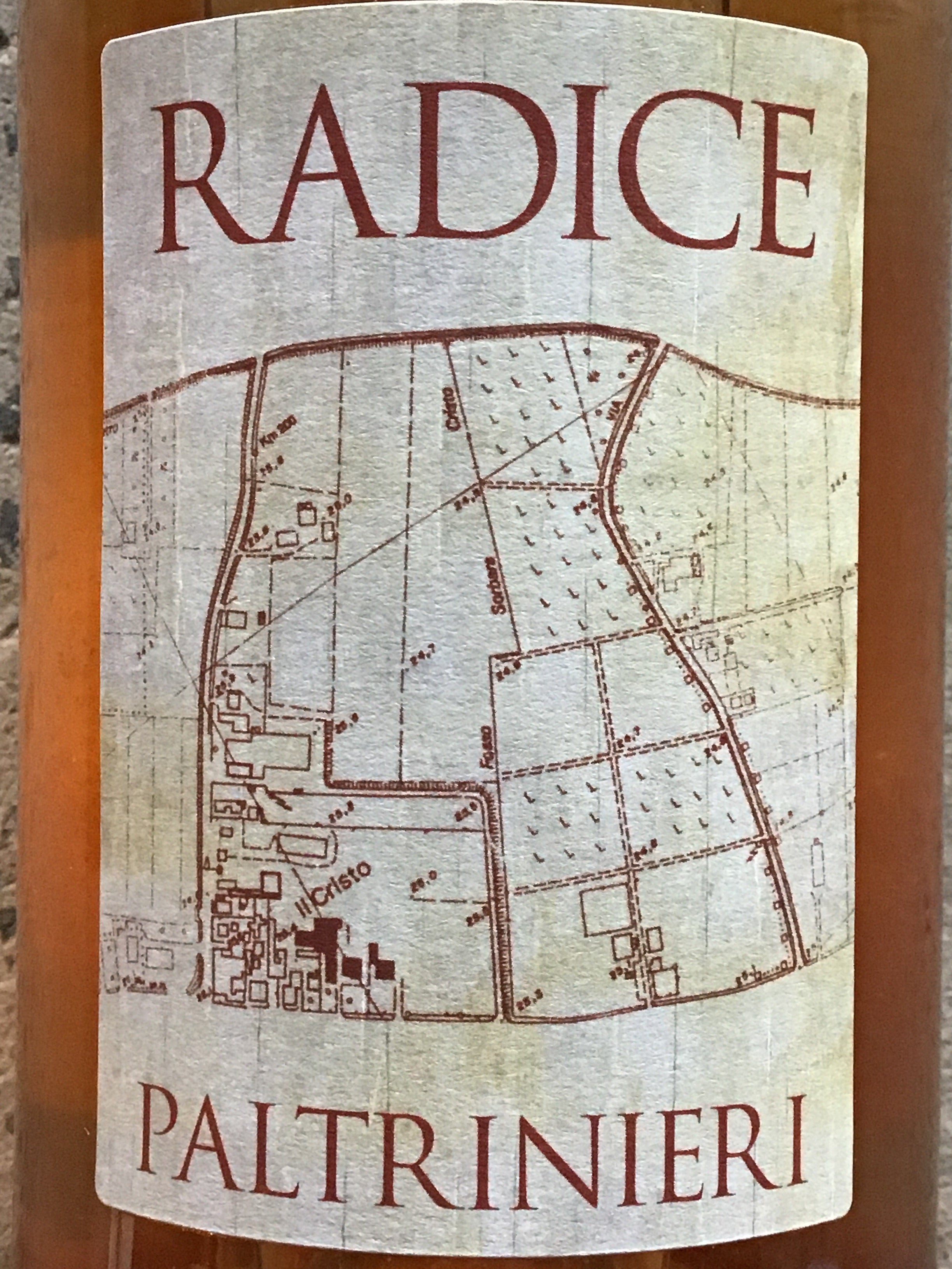 2021 Paltrinieri 'Radice' Lambrusco de Sorbara Rosé - A Fine Wine