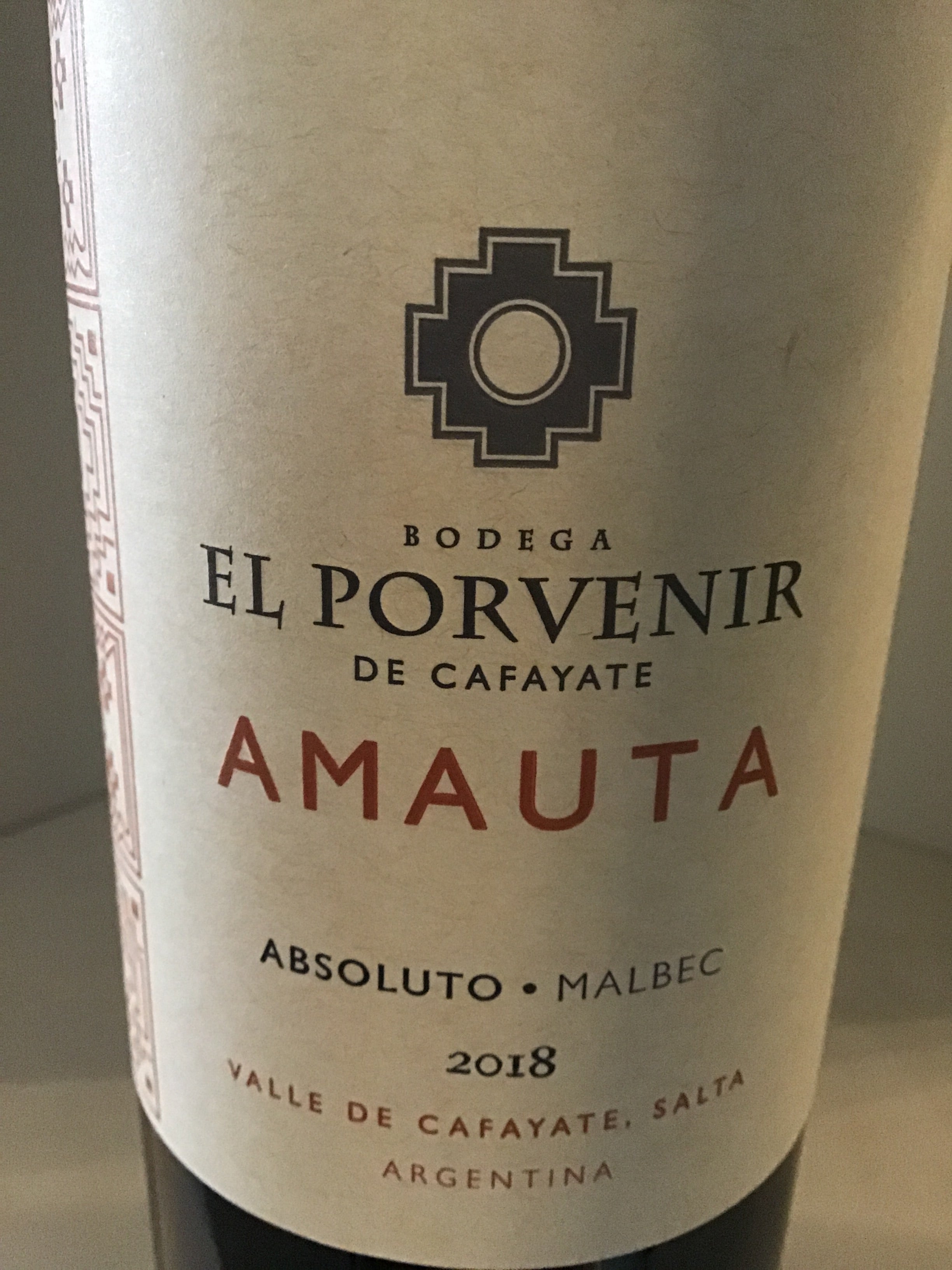 El Porvenir de Cafayate 2020 - Premium Argentine Malbec Wine