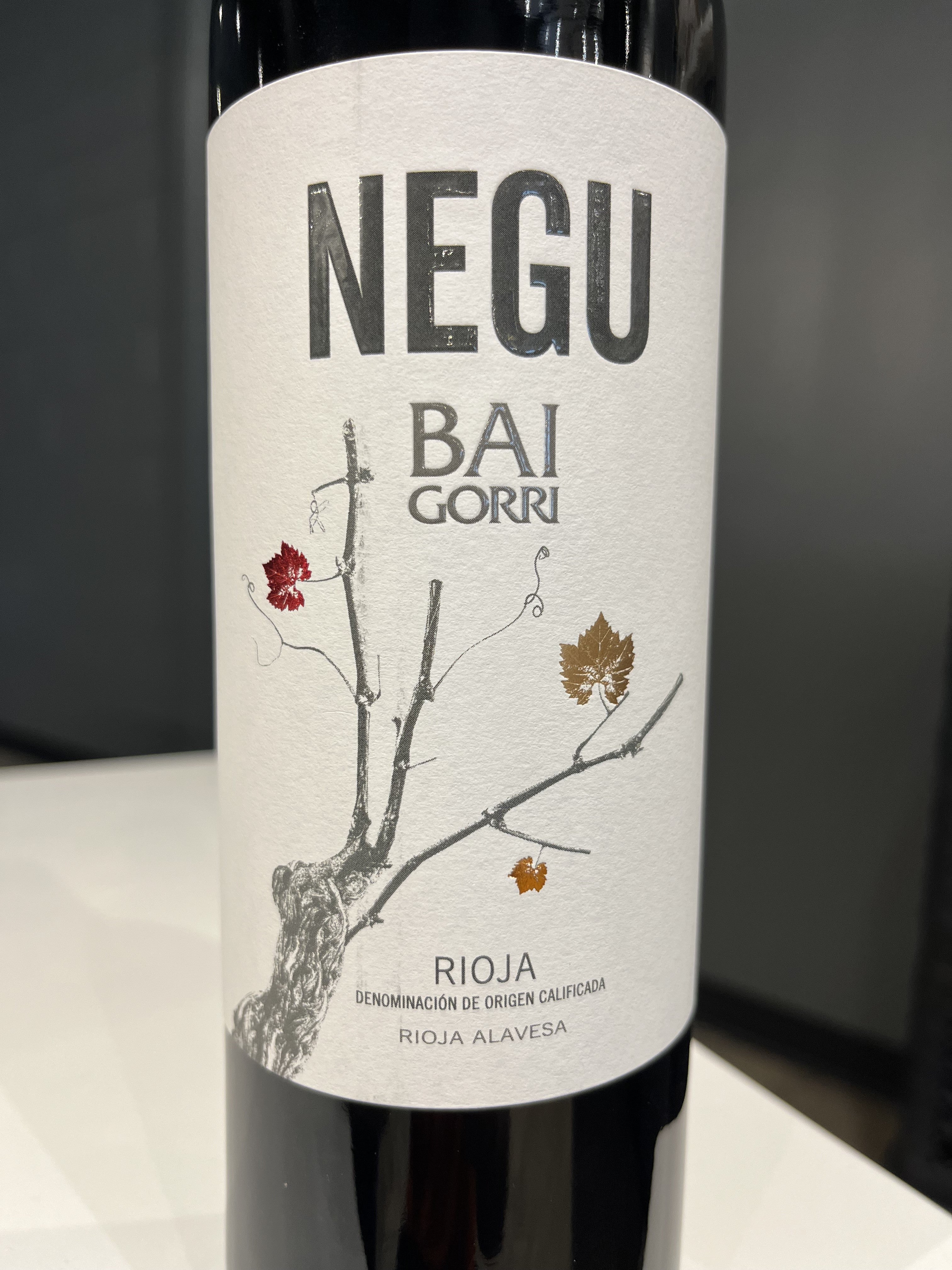 2022 Baigorri 'Negu' Tempranillo Red Wine from Rioja, Spain