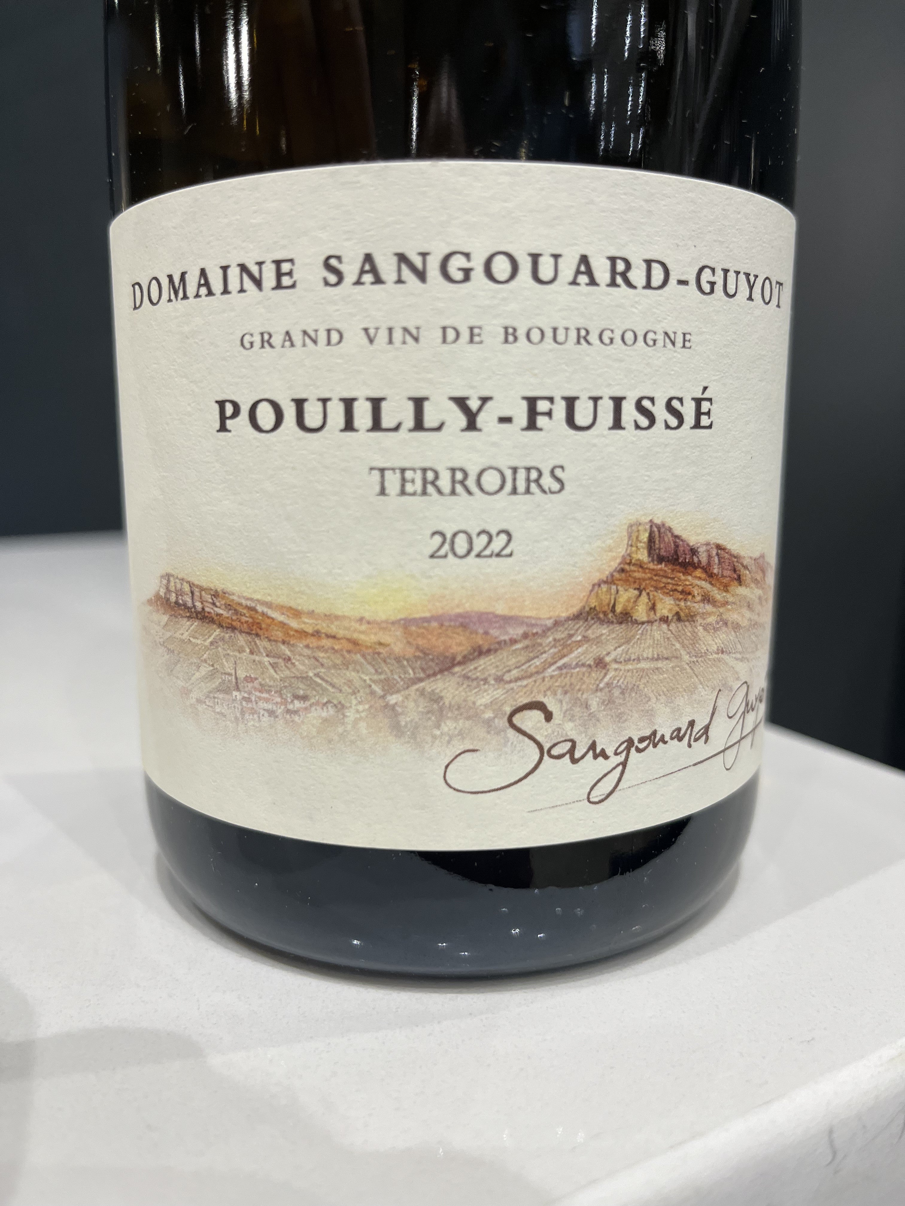 Domaine Sangouard - Guyot ‘Terroirs’ Pouilly - Fuisse French White Wine