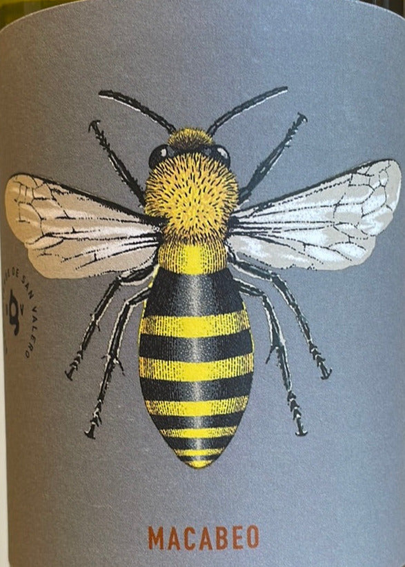 2023 Bodegas Verde Organic 100% Macabeo Wine