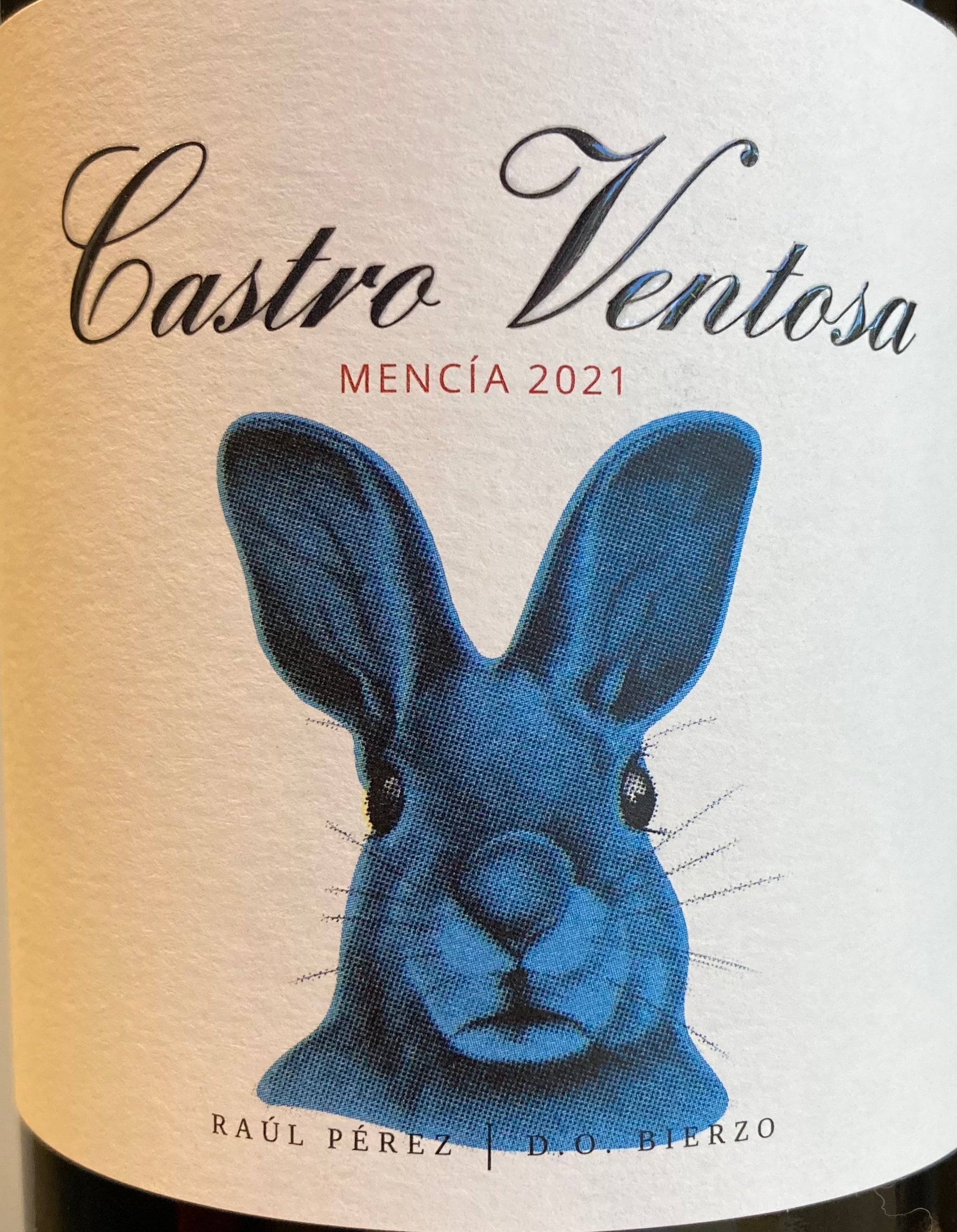Castro Ventosa's Fresh 2021 Mencia Joven Wine from Bierzo, Spain