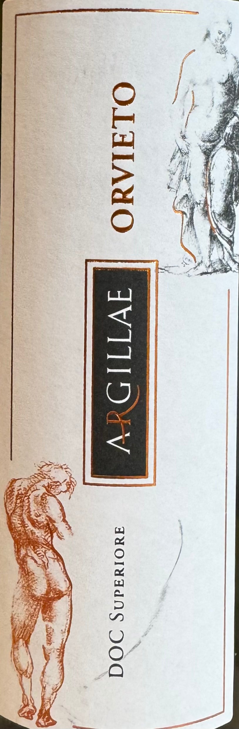 2021 Orvieto Superiore DOC Argillae - Premium Wine