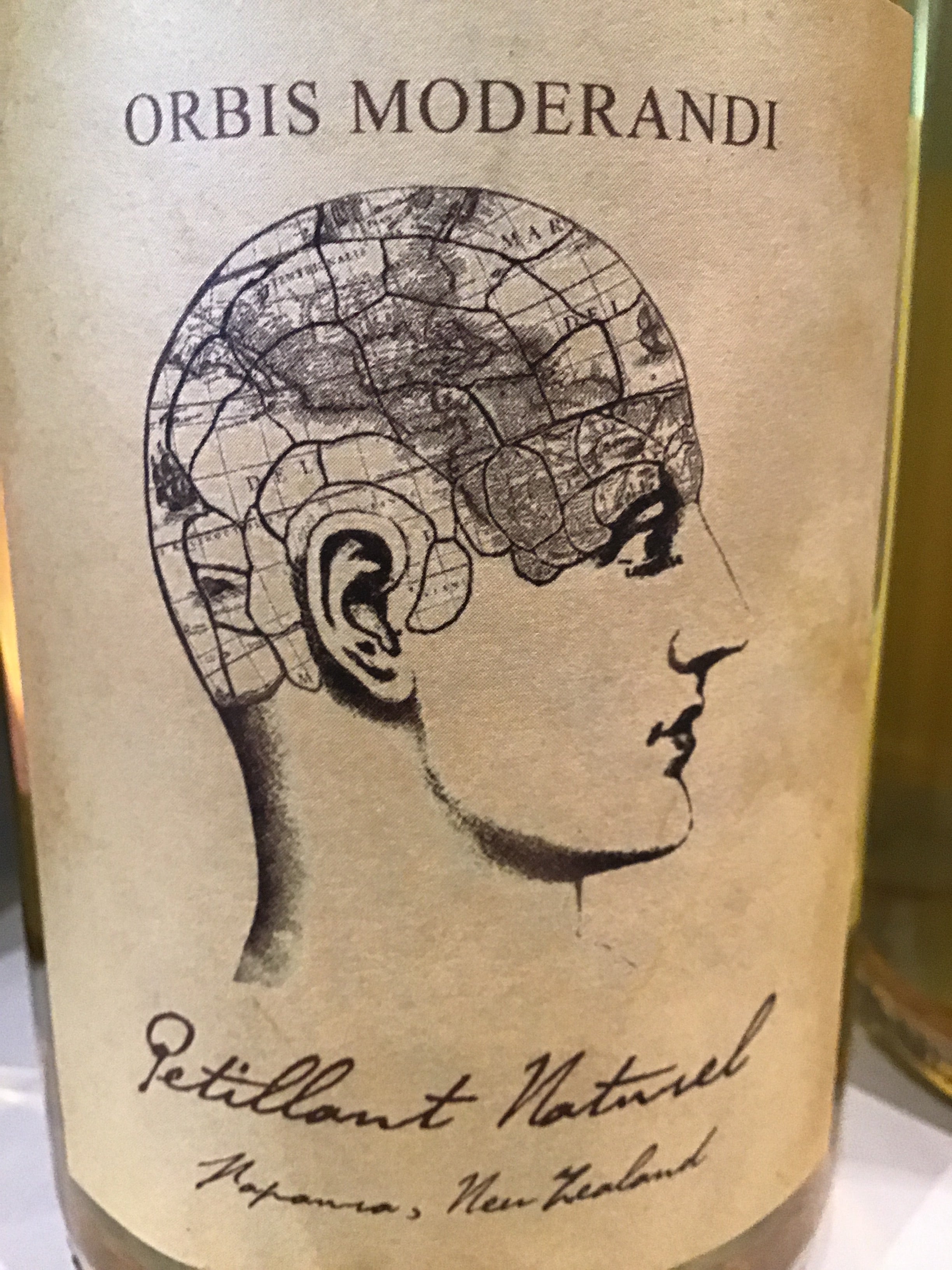 Orbis Moderandi 'Otto's Constant Dream' Natural Sparkling Sauvignon Blanc Wine - Petillant Naturel
