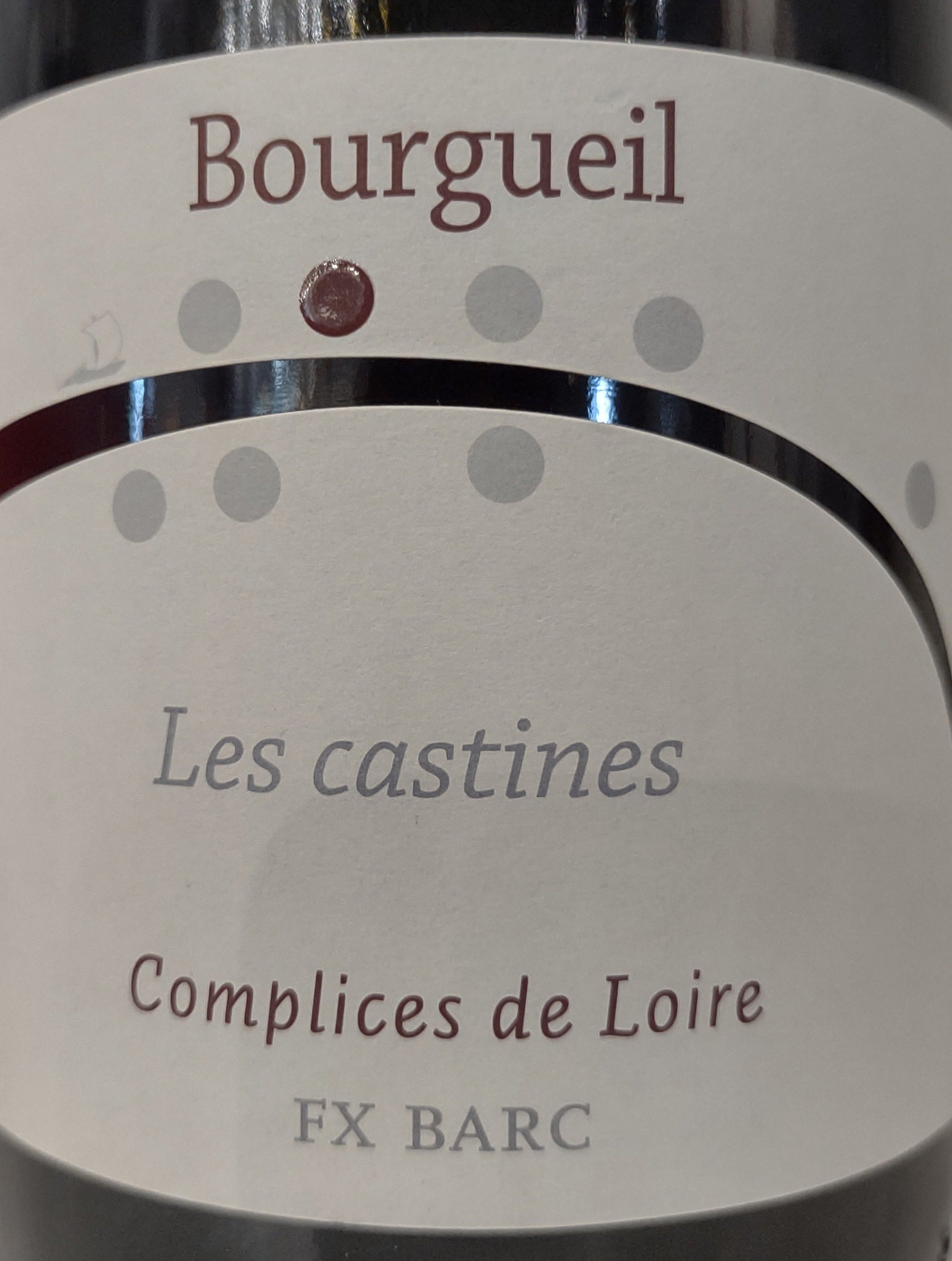 2019 Complices de Loire 'Les Castines' Fine Cabernet Franc Wine from France