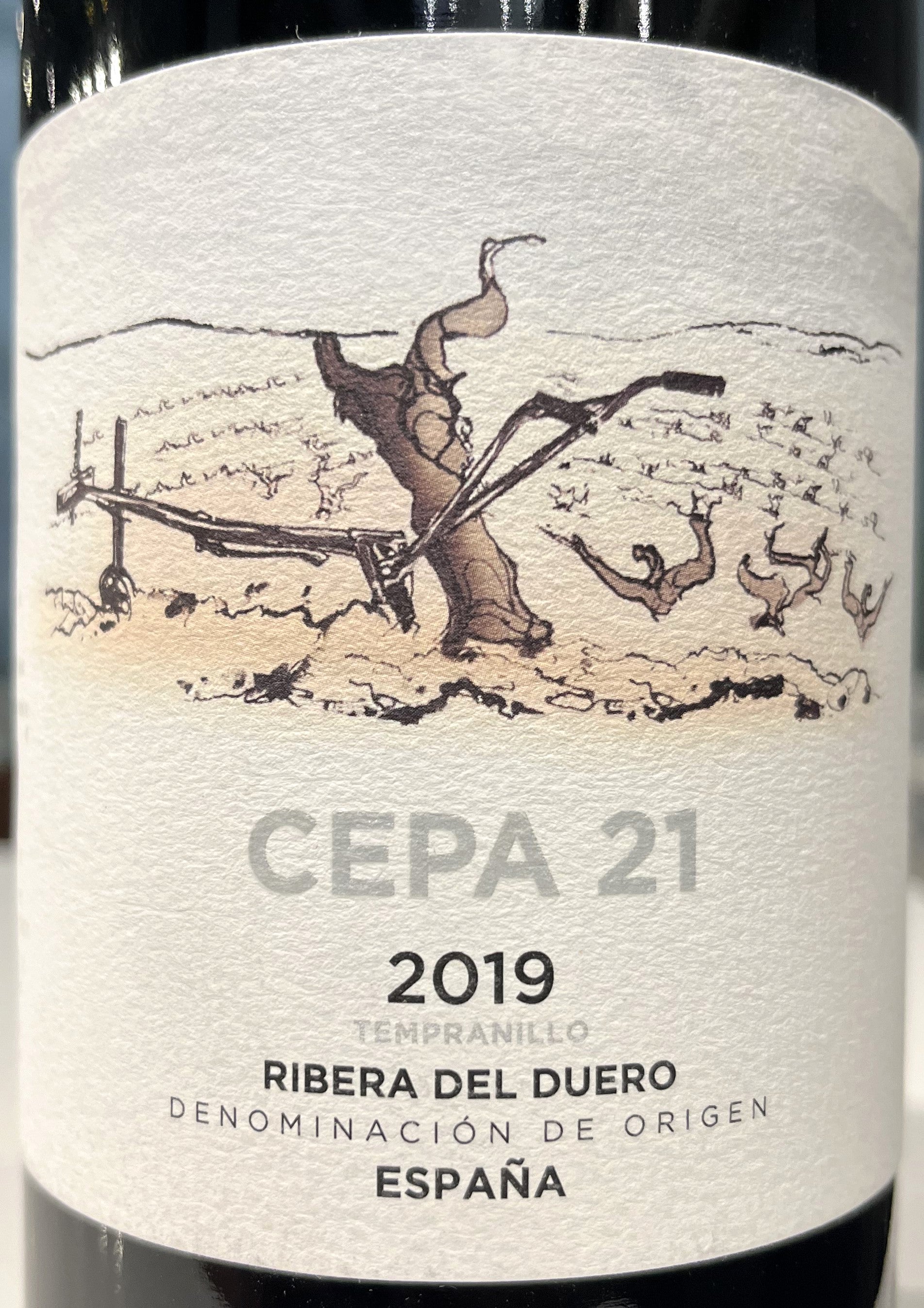 Cepa 21 Red Wine - Ribera del Duero, Spain