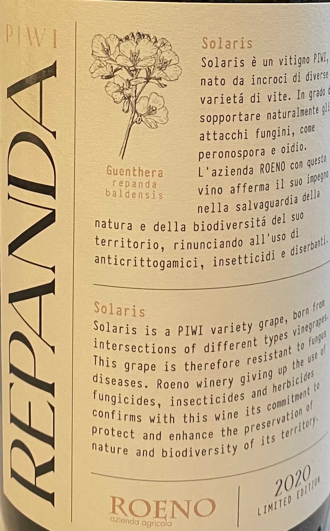 Cantina Roeno's 'Repanda' - Tropical and Floral Solaris Wine (2020)
