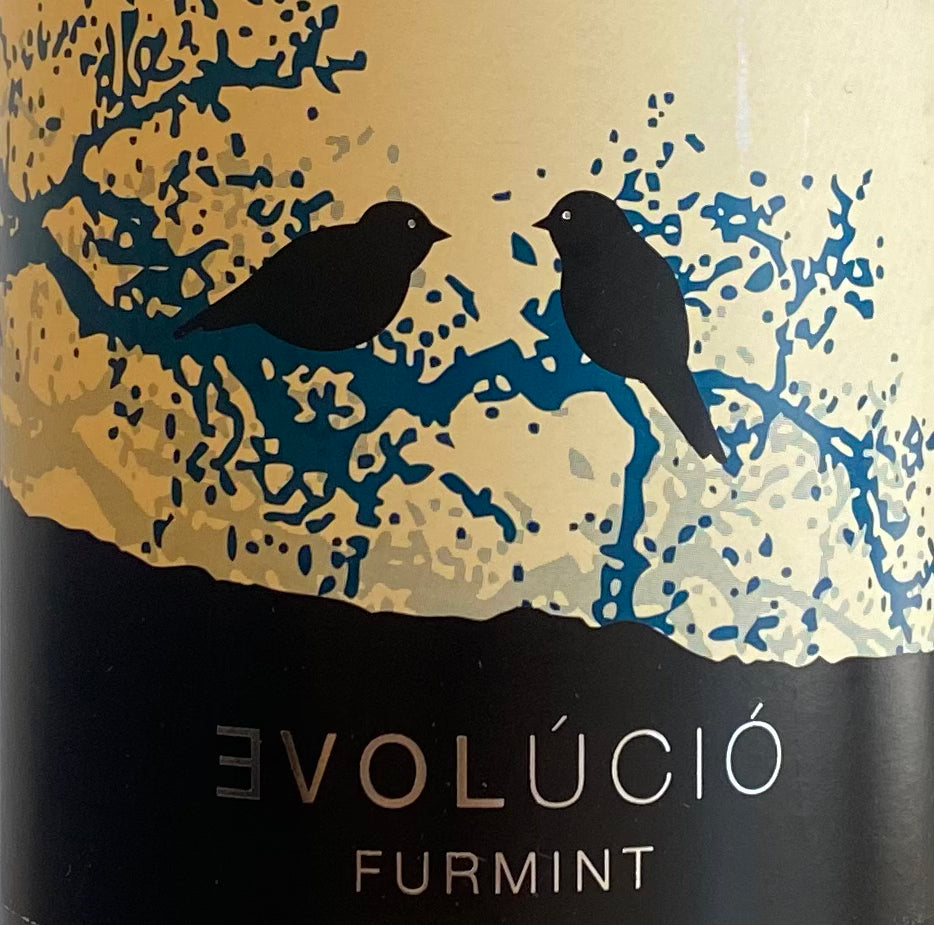 2021 Evolucio Dry Blend - 85% Furmint, 15% Harslevelu from Tokaj, Hungary