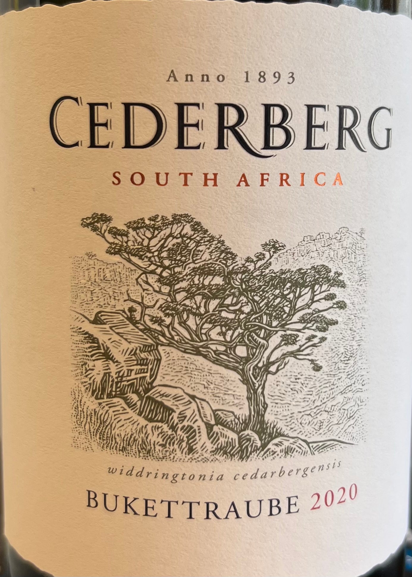 Cederberg Bukettraube South African Grape Wine